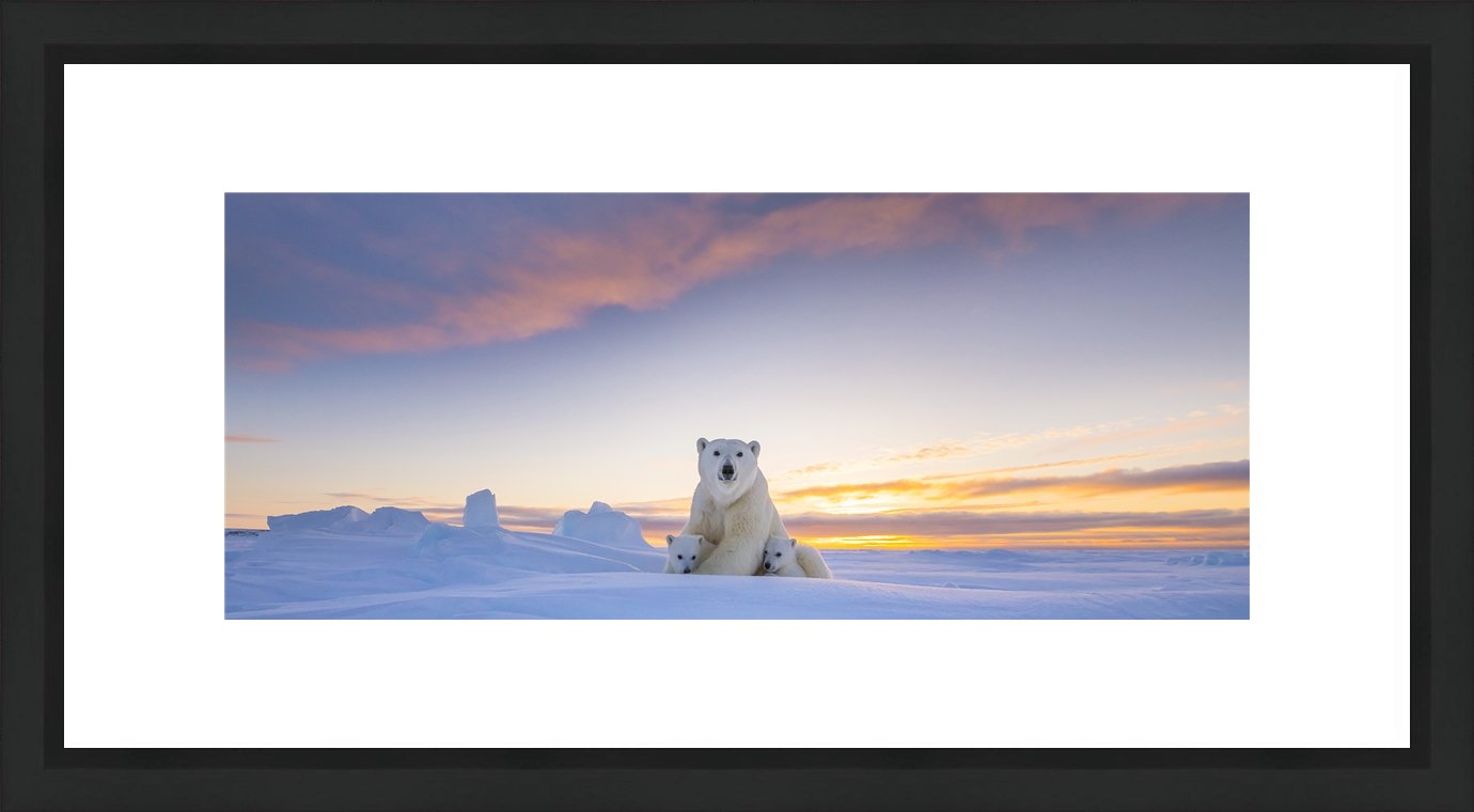 Contemporary Frame Panoramic 